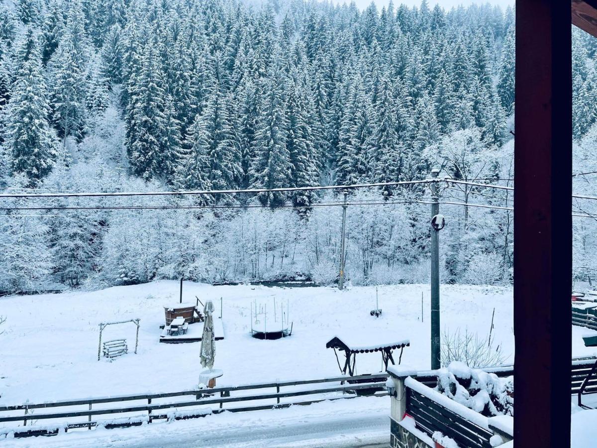 Cabana Loredana Vadu Motilor Exteriör bild